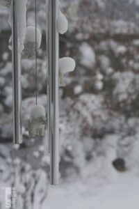 010814BunnyInTheSnow23LR