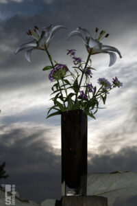 070313JeannesFlowers_Vase054LR