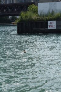 0714_1510ChicagoTrip120LR