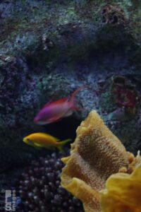 0714_1510ChicagoTrip176LR