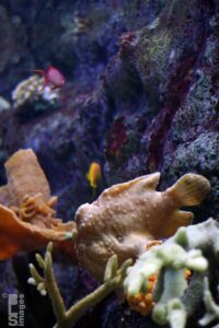 0714_1510ChicagoTrip179LR