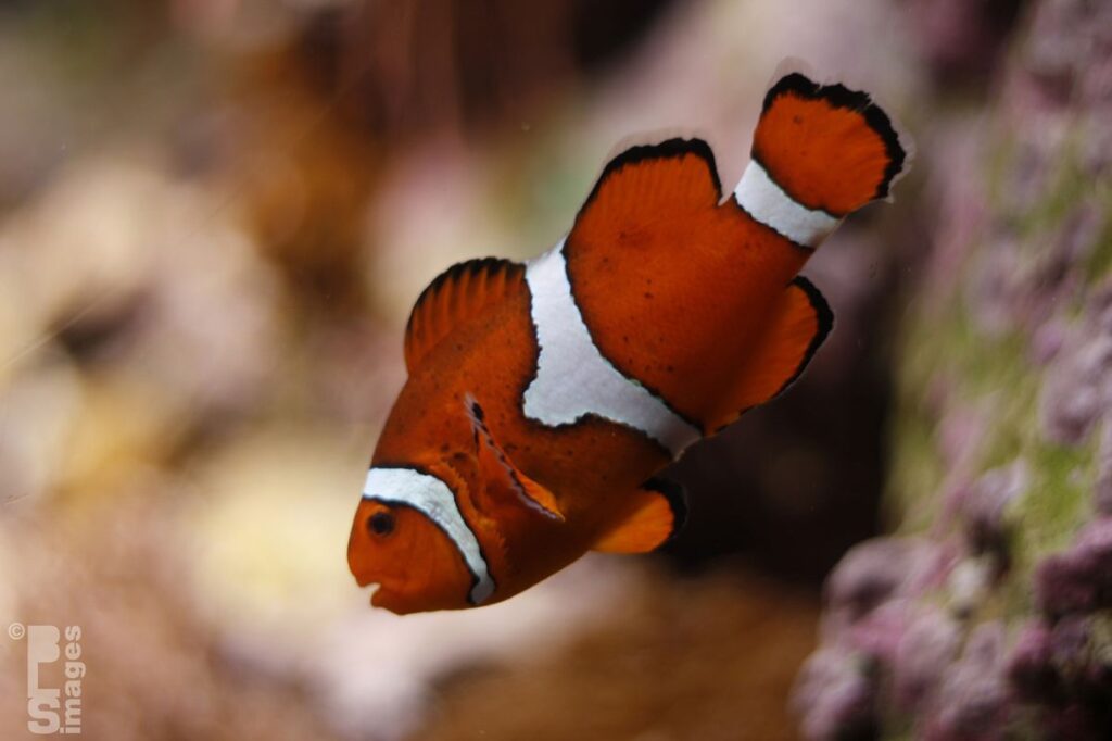 0714_1510ChicagoTrip197LR