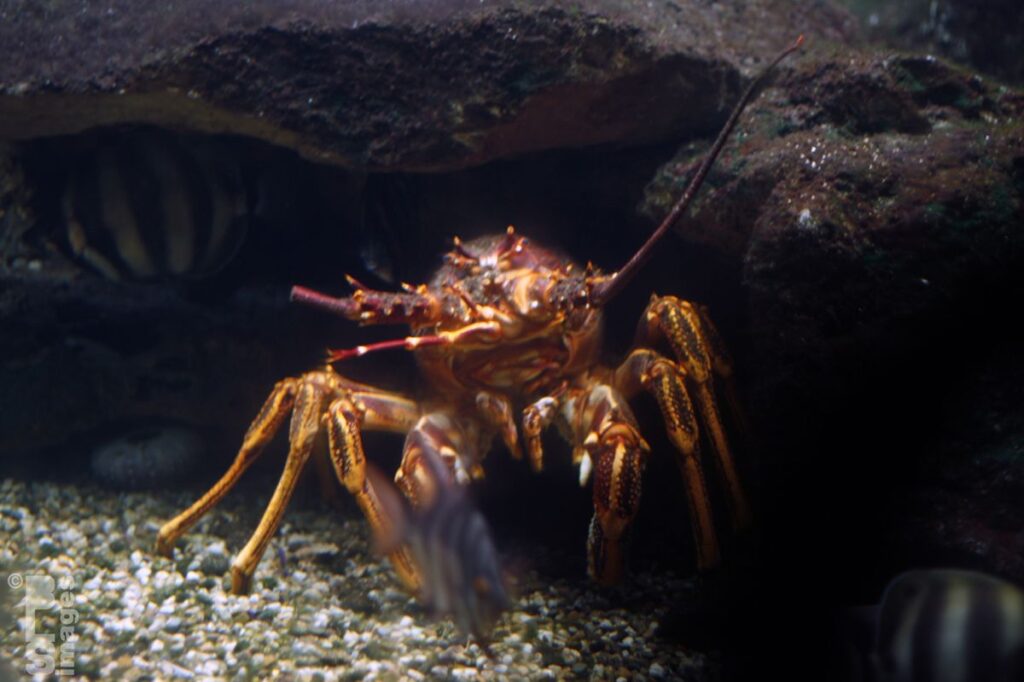 0714_1510ChicagoTrip219LR