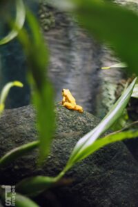 0714_1510ChicagoTrip284LR