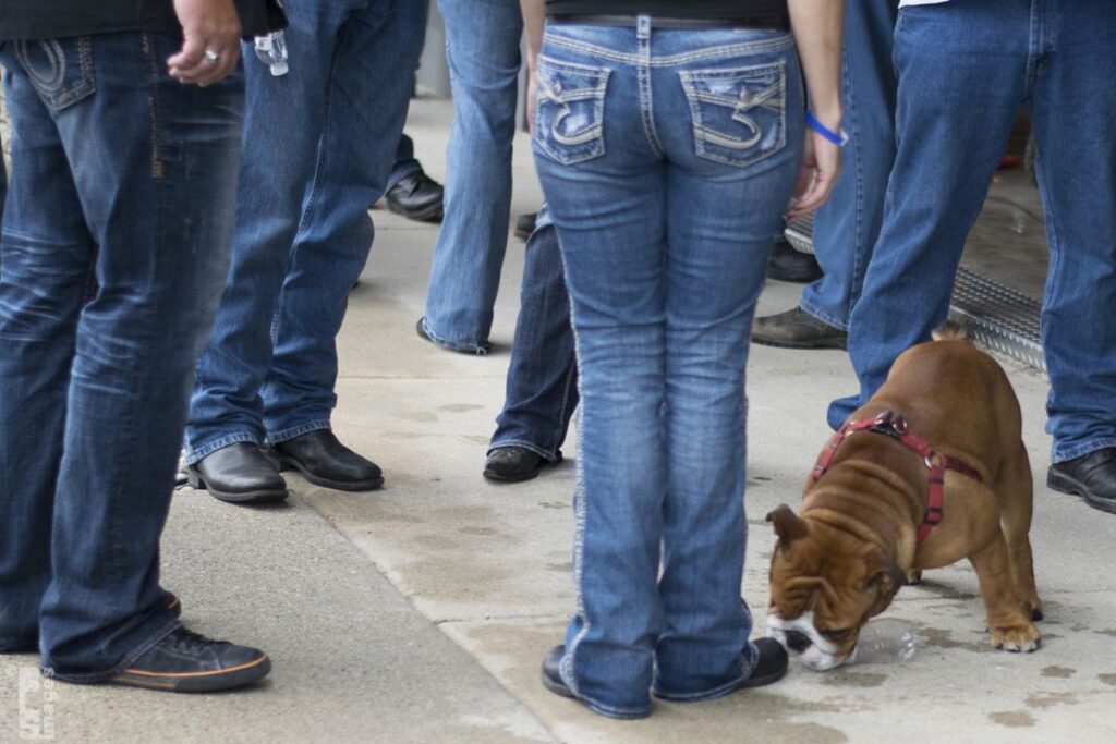 071815ProjectRedWhiteBlue145LR