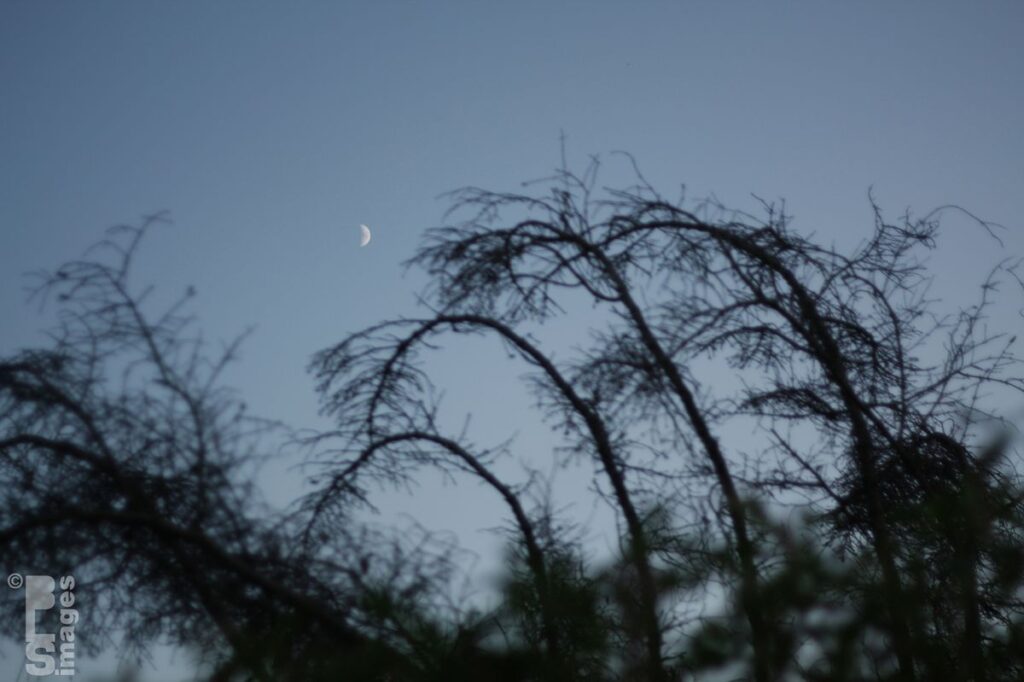 081510KentTrails046LR