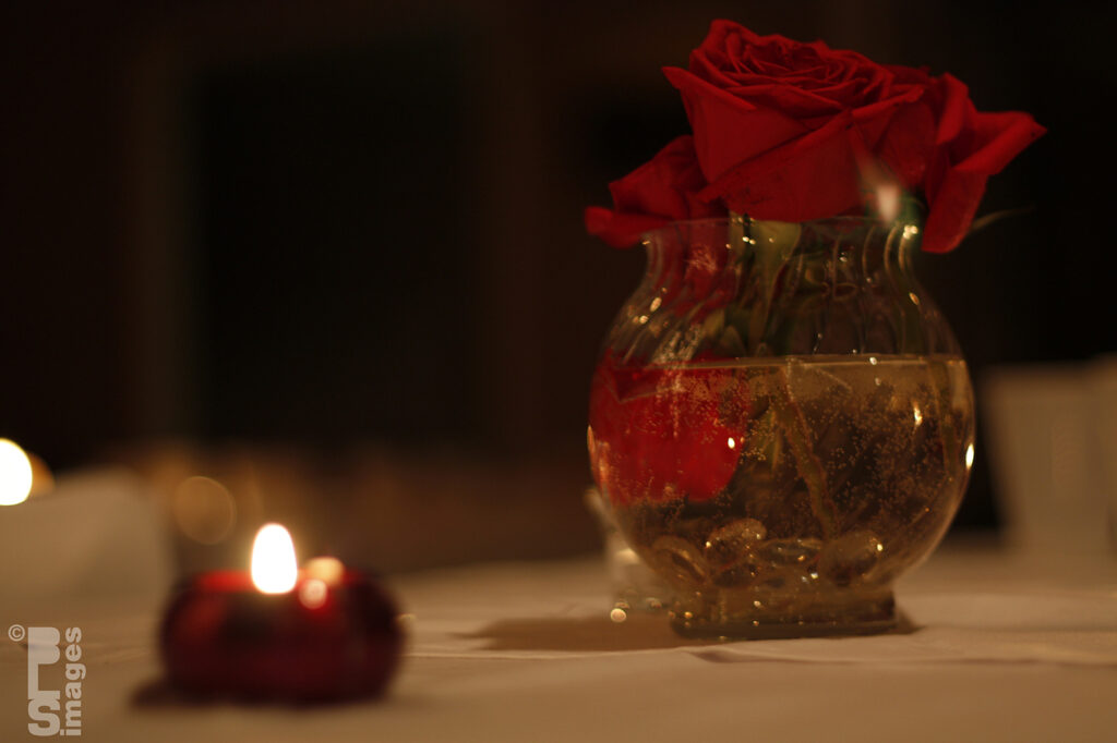 082413Jim_MindyTaylorsWedding193LR