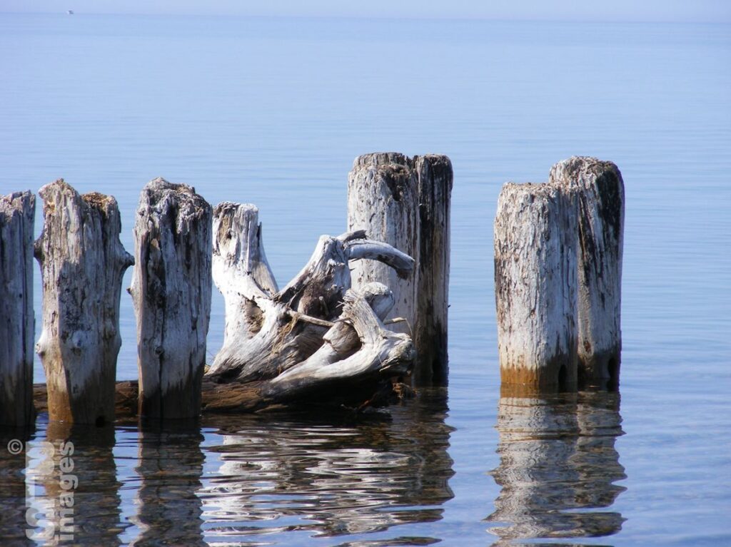 0904-0509Whitefish Point173LR