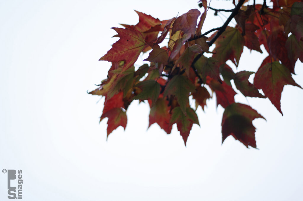 100912LakeMICruise158LR