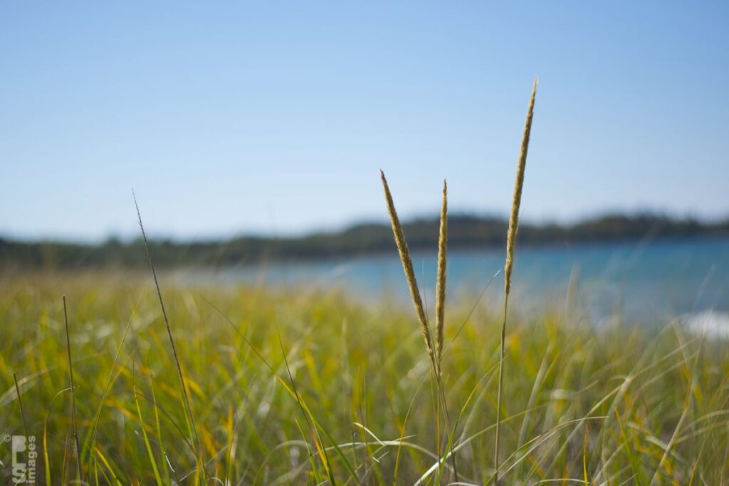 101214MyColorTour010LR