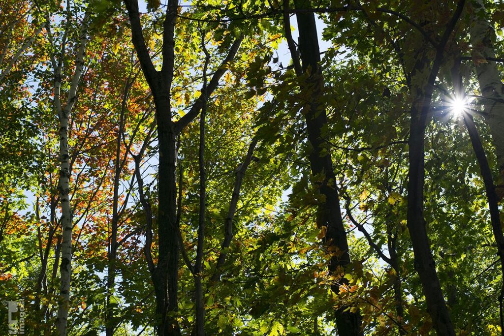 101214MyColorTour072LR