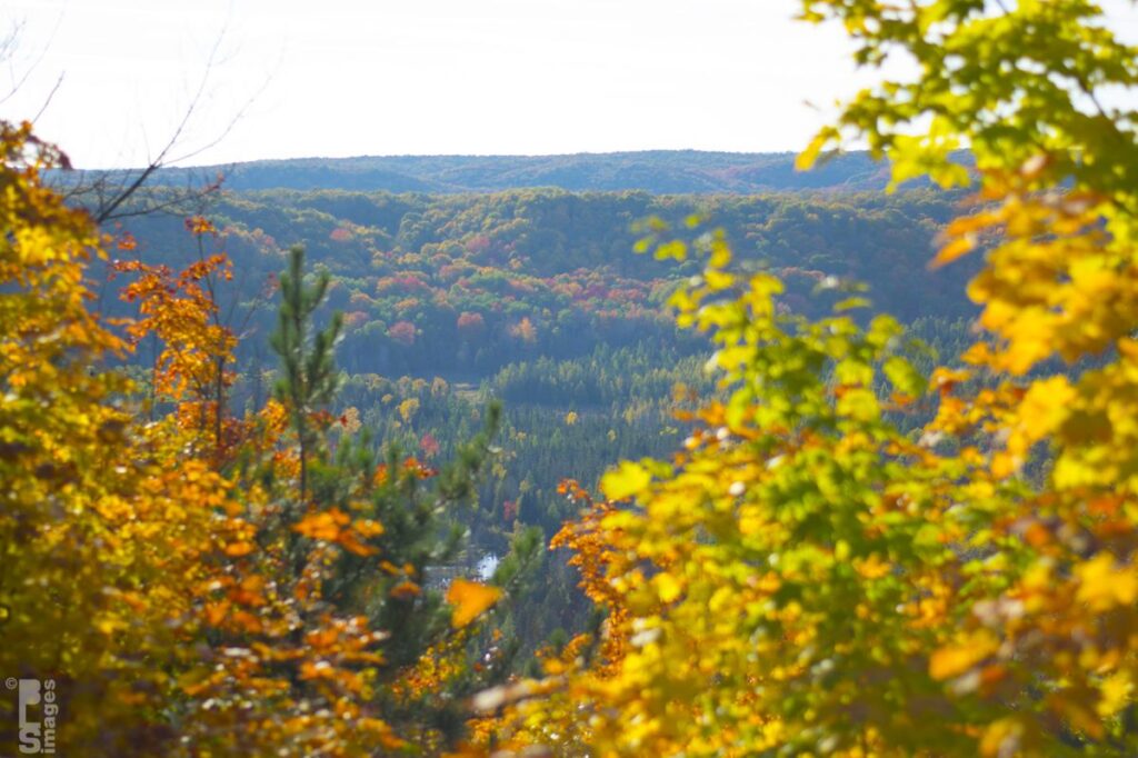 101214MyColorTour234LR