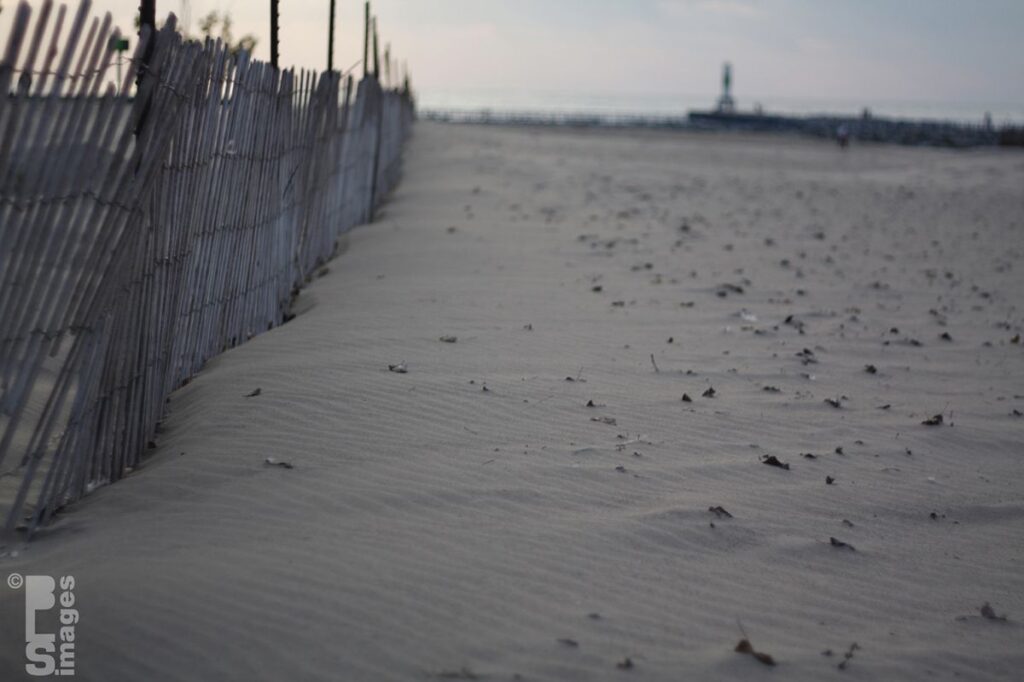 101612HollandStatePark011LR