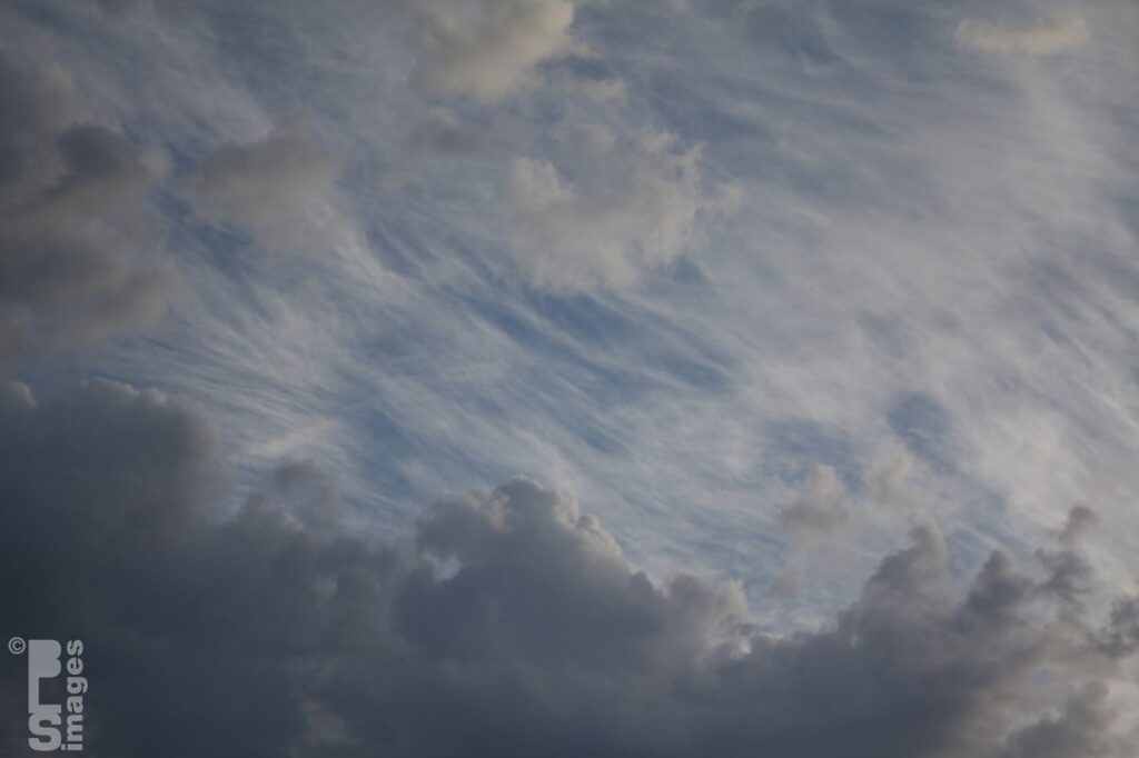 101612HollandStatePark035LR