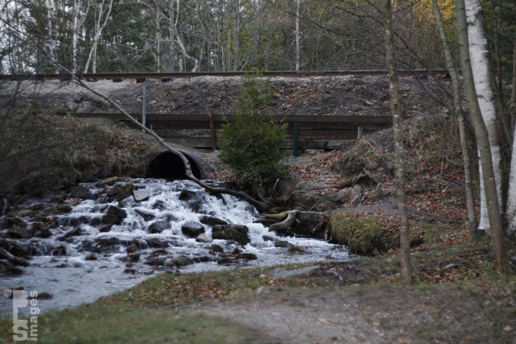 1027_2812Petoskey044LR