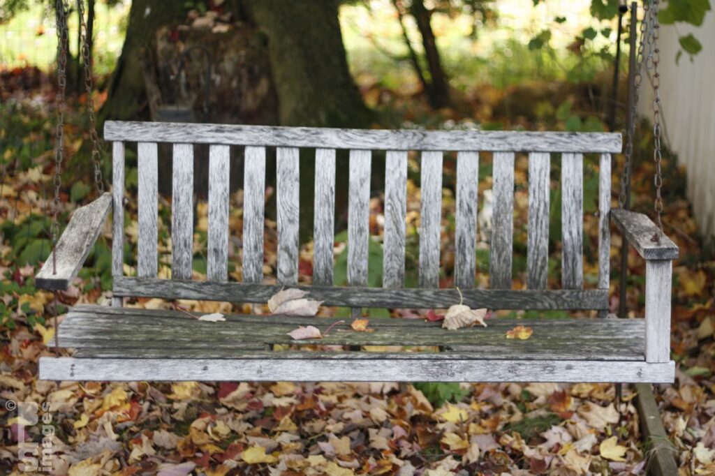 103013AutumnInOurYard104LR