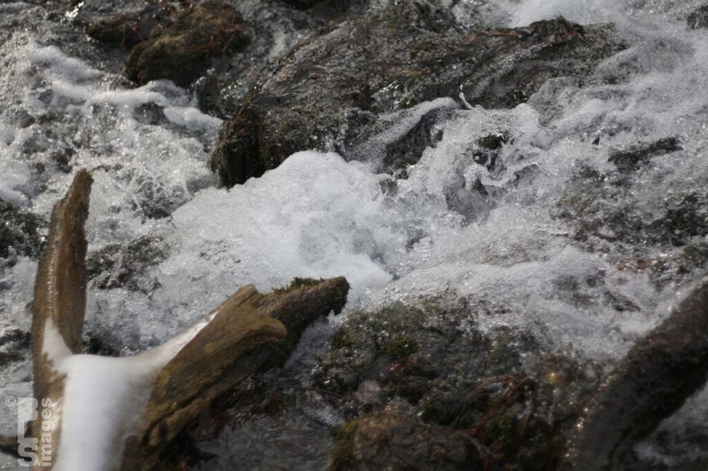 111413BoyneFallsRoadsidePark055LR