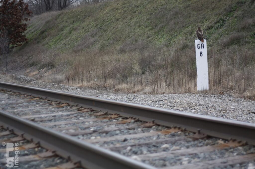 120513Hawk8MileMarker004LR