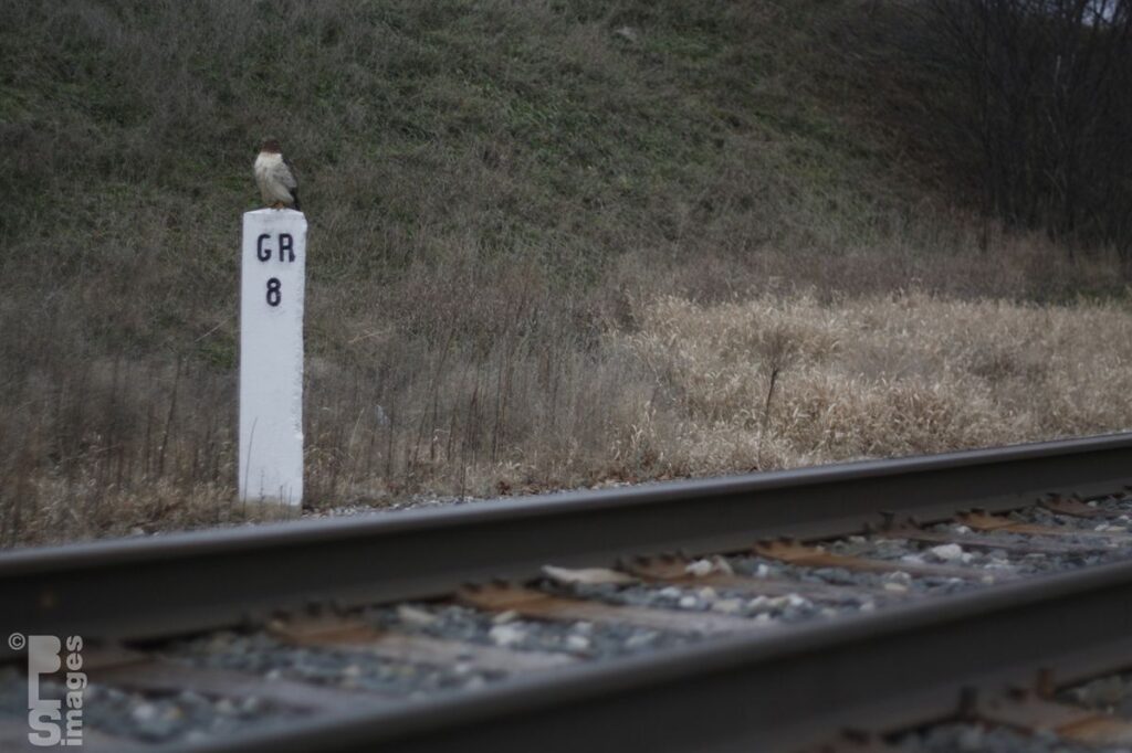 120513Hawk8MileMarker008LR