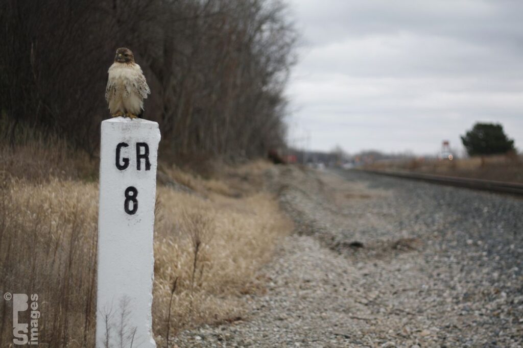 120513Hawk8MileMarker024LR