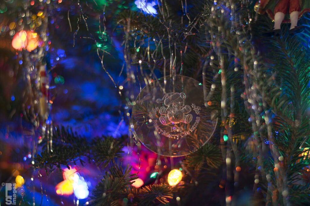 122414ChristmasOrnaments22LR